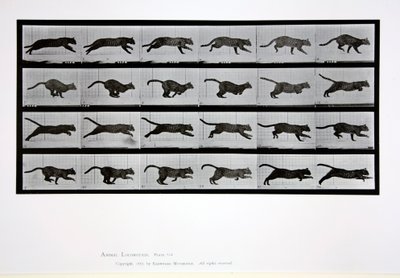 Cat running, plate 720 from 